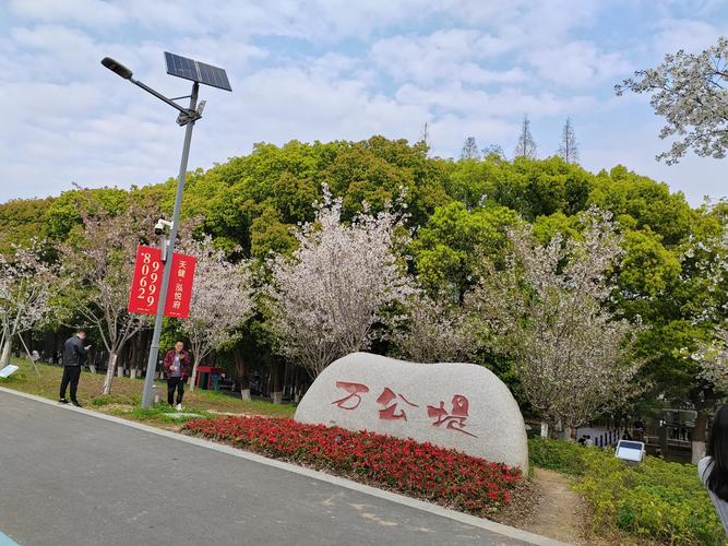 踏春吴江 不时不食！一口吃掉吴江的“春天”