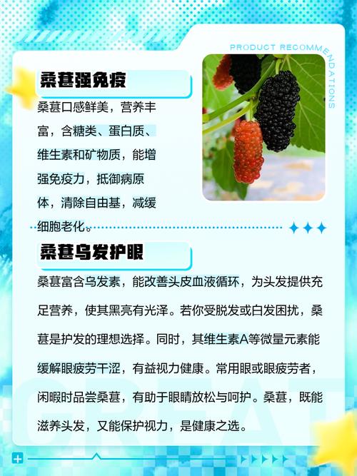 桑葚原来是个宝贝，很多人不知道它的用途，解决了很多人的大烦恼
