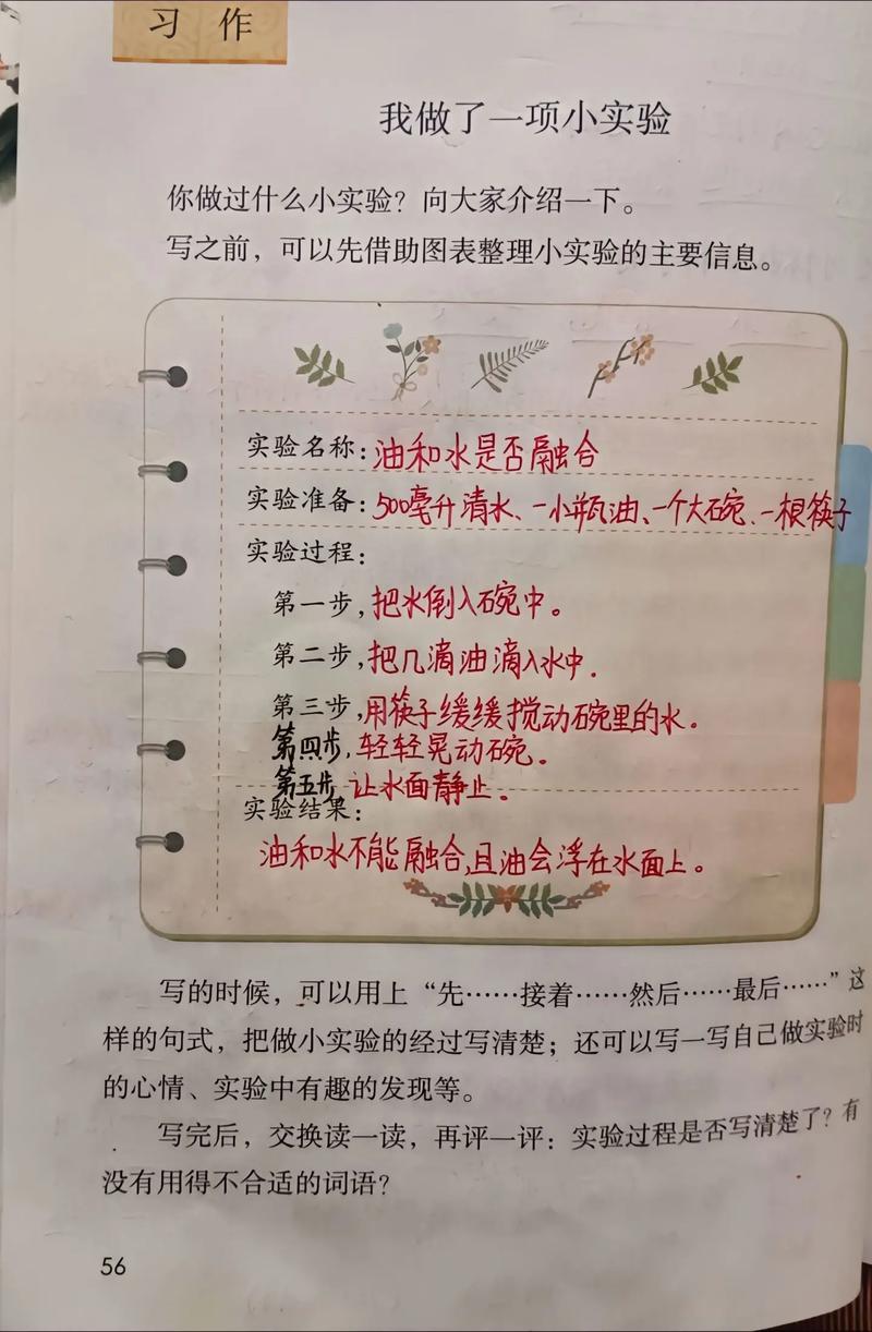 一起来做实验！当科学实验邂逅春日花田