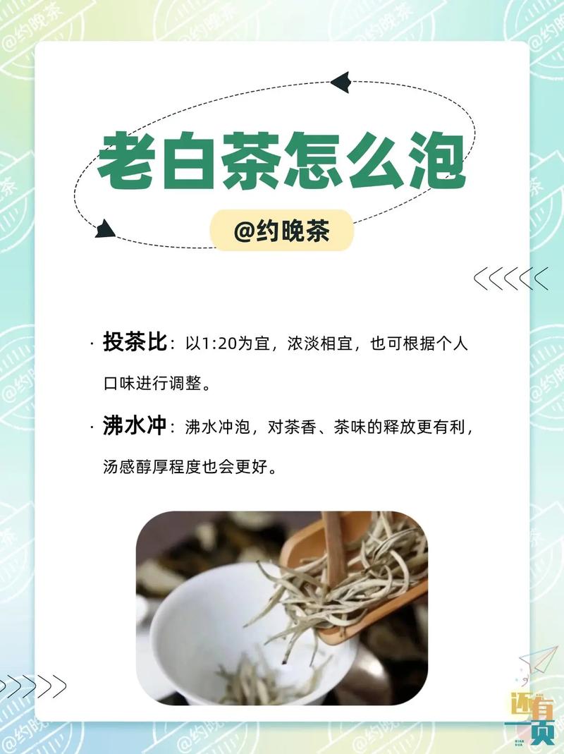 喝老白茶必须解锁的3种搭配，养生美味通通拿捏住