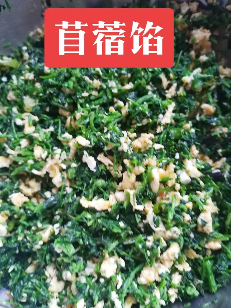 #苜蓿 一种在新疆遍地都有的野菜、包一顿饺子是一种什么体验