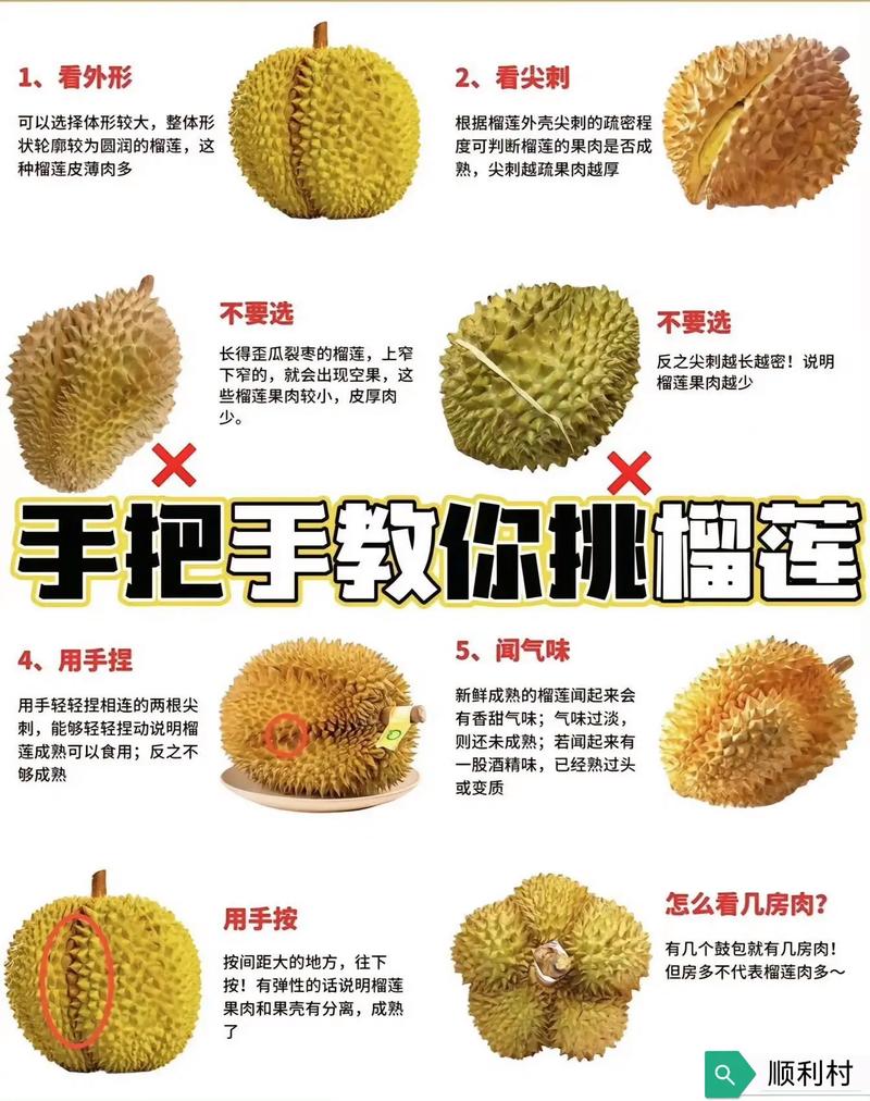 四个方法挑到皮薄肉多的榴莲（央视网微博）