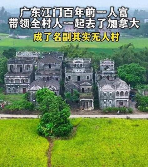 2025年4月15日