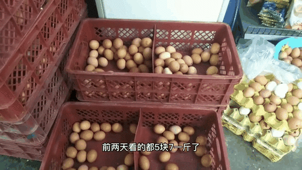 鸡蛋暴跌，看山东鸡蛋今天多少钱一斤？大吃一惊