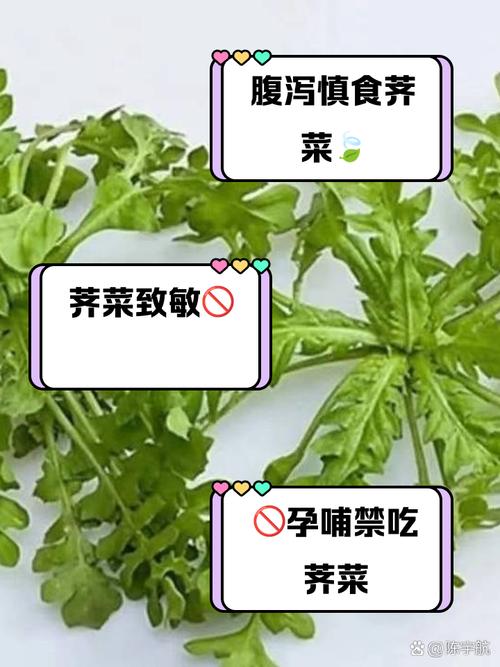 去挖野菜了吗？荠菜、香椿、蒲公英可不能随便吃，医生总结野菜食用提醒