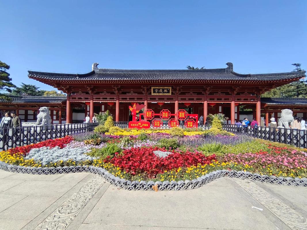 西安兴庆宫公园木香花开，出片率高，速来围观，游客：好香！