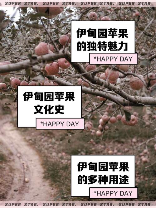 来到了伊宁苹果公园，想起了《苹果香》公园熙熙攘攘，美不胜收