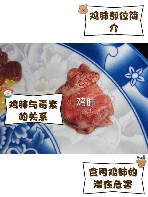 无中生肉？日本实验室培养出史上最大块人造鸡肉，技术或可用于培育人造器官