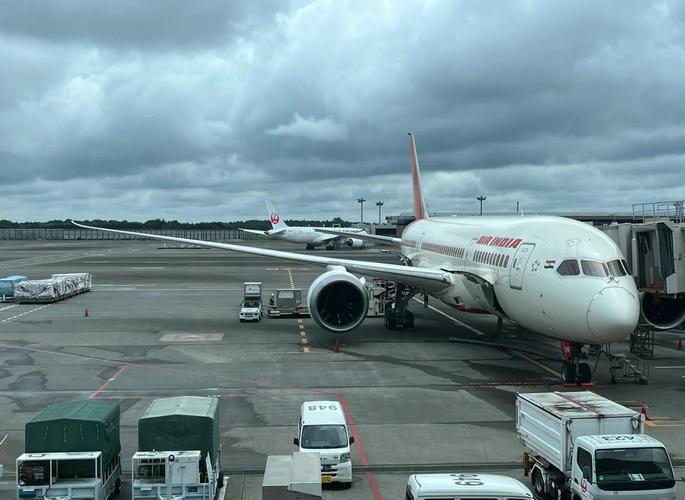印度航空这次玩大了，丢人丢到国际上！