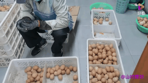 鸡蛋暴跌，看山东鸡蛋今天多少钱一斤？大吃一惊