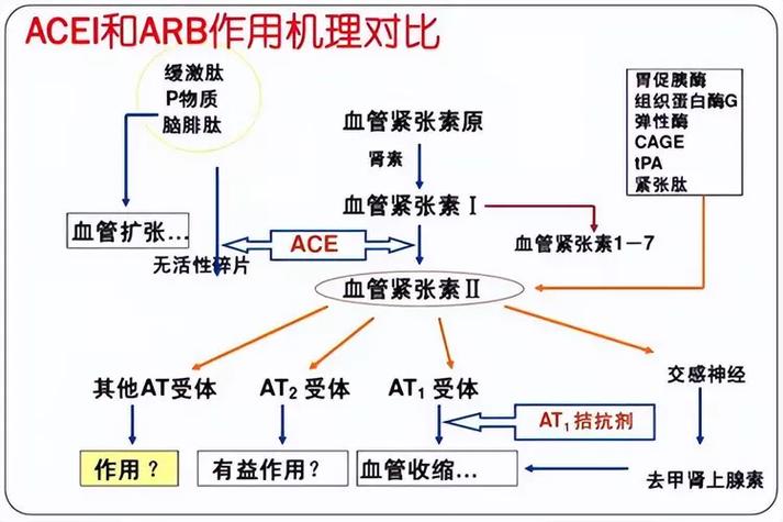 “替米沙坦”和“厄贝沙坦”不要乱用，禁忌症和区别大家要熟知