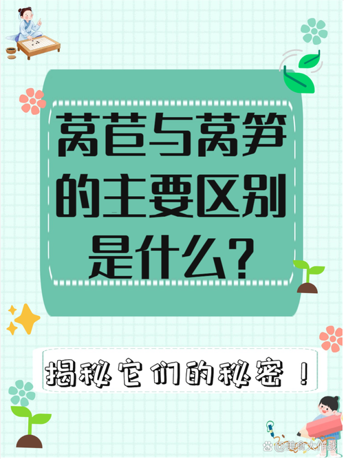 莴笋：蔬菜界的“宝藏男孩”