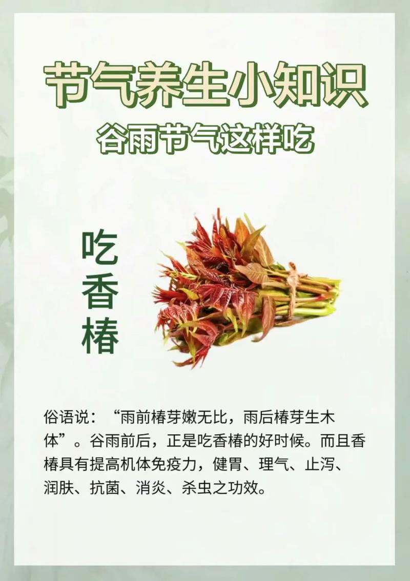谷雨必吃6大鲜！老农私藏的"养生密码"城里人花钱都买不到？