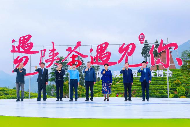 遇见陕茶，遇见你 第六届陕西网上茶博会镇巴专场隆升分会场启幕