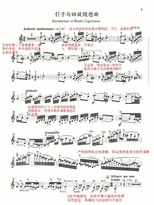 母亲90周岁生日大哥大嫂从美国赶来为母亲庆贺知音引子回旋曲