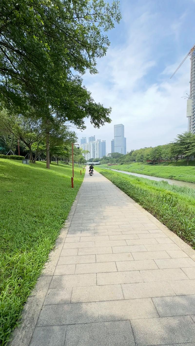 阳光明媚的公园漫步，时尚穿搭与自然美景的完美结合！