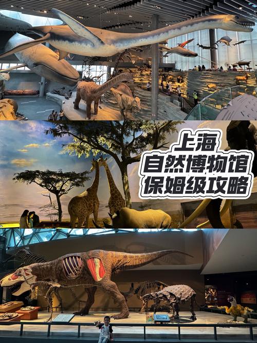 探索人类文明的足迹，走进上海自然博物馆！