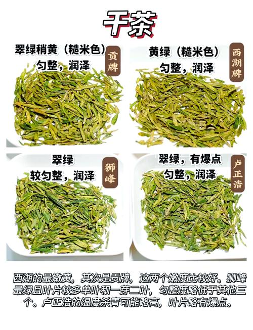 同样叫龙井，价格差10倍！梅家坞和狮峰到底差在哪？