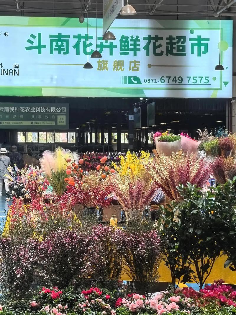 云南“吃花”火到全国都在跟风，地里免费的花进超市敢卖80一斤