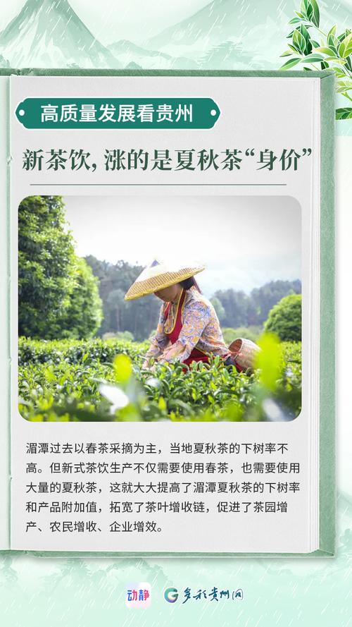 聚焦茶博会│湄潭、凤冈、正安、余庆四县新茶饮产业联盟成立