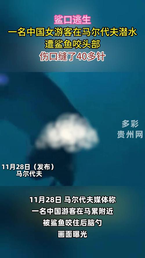 中国女生在马尔代夫浮潜遭猥亵，精神崩溃，发帖避雷反被店家造谣