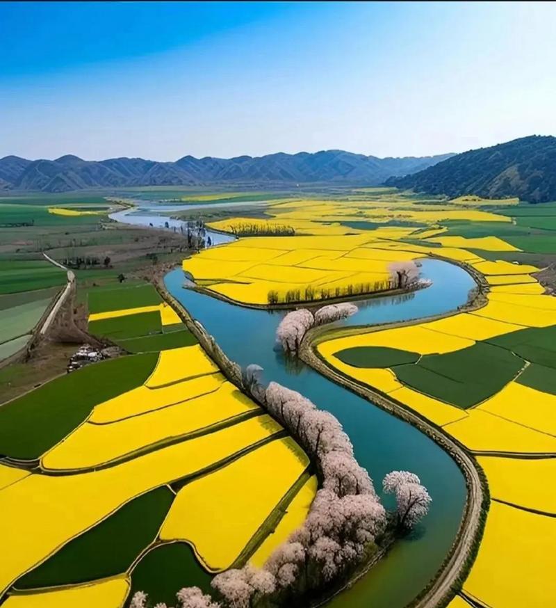 千垛油菜花景区，美的如诗篇，又似巧夺天工水乡画卷