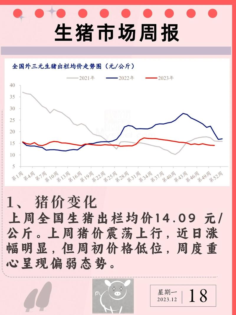 山东猪肉价突变！月日大集，价格惊人内幕！