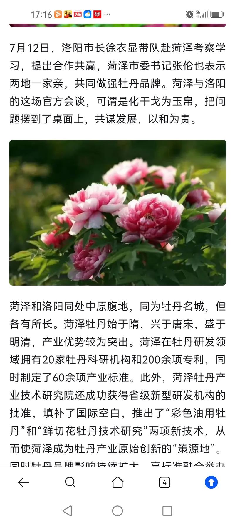 外媒记者团走进菏泽定陶 探寻“舌尖上的牡丹”