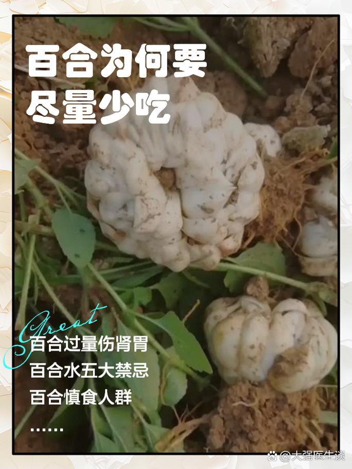 2025年4月21日 第5页