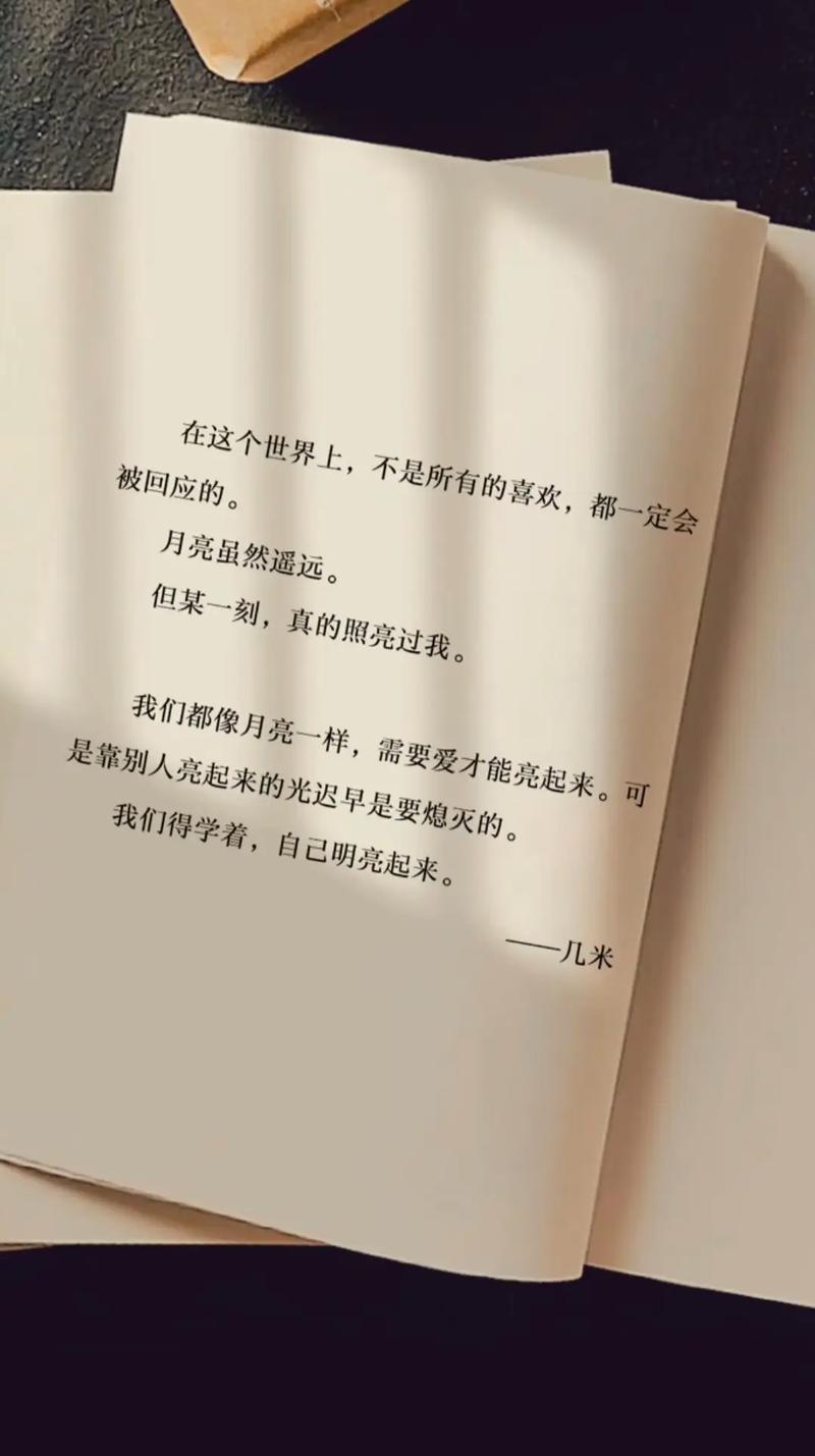 真的不想流浪了，求求你们了，带我回家吧，我一个人太孤单了