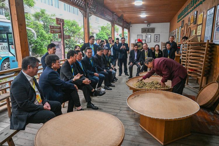 茶文化 侨文化！英德这场沙龙活动，吸引上千人共赴盛宴