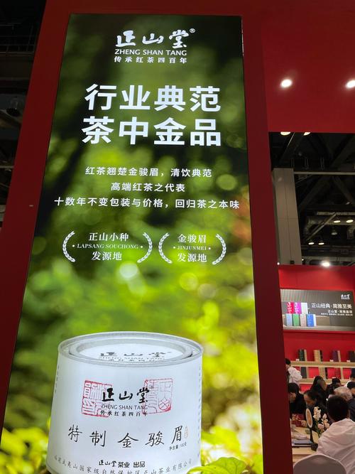 茶韵飘香，竹溪2025茶博会启幕