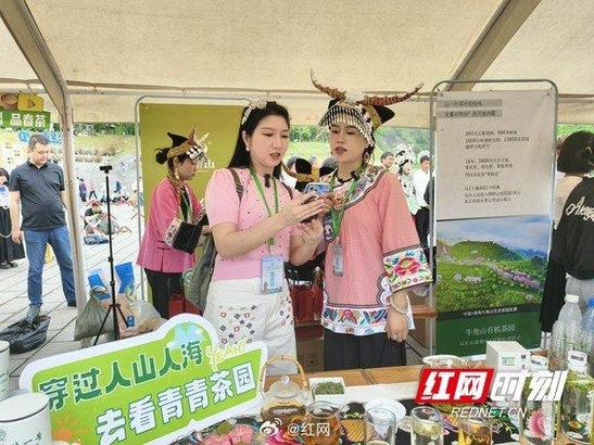 古丈县茶文化推介暨古丈毛尖春茶品鉴会在湖南省文化馆举行