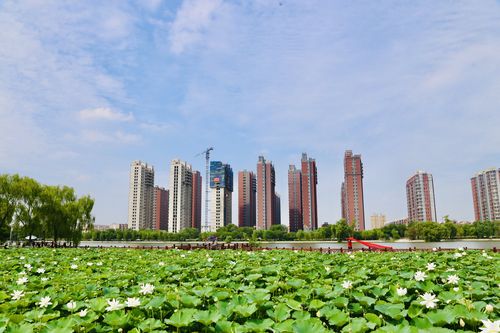 瞰盘锦｜城中的公园 家门口的美①东湖公园：淡妆浓抹总相宜