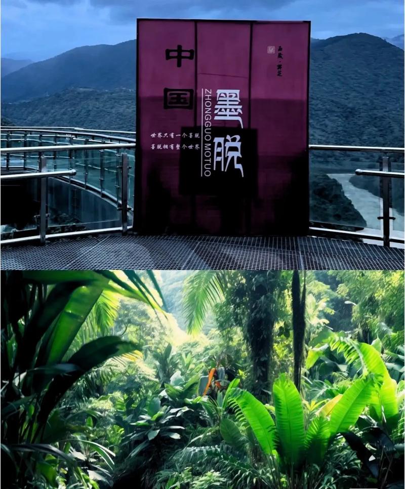 “世界只有一个墨脱 而墨脱拥有整个世界.邂逅墨脱茶影留芳