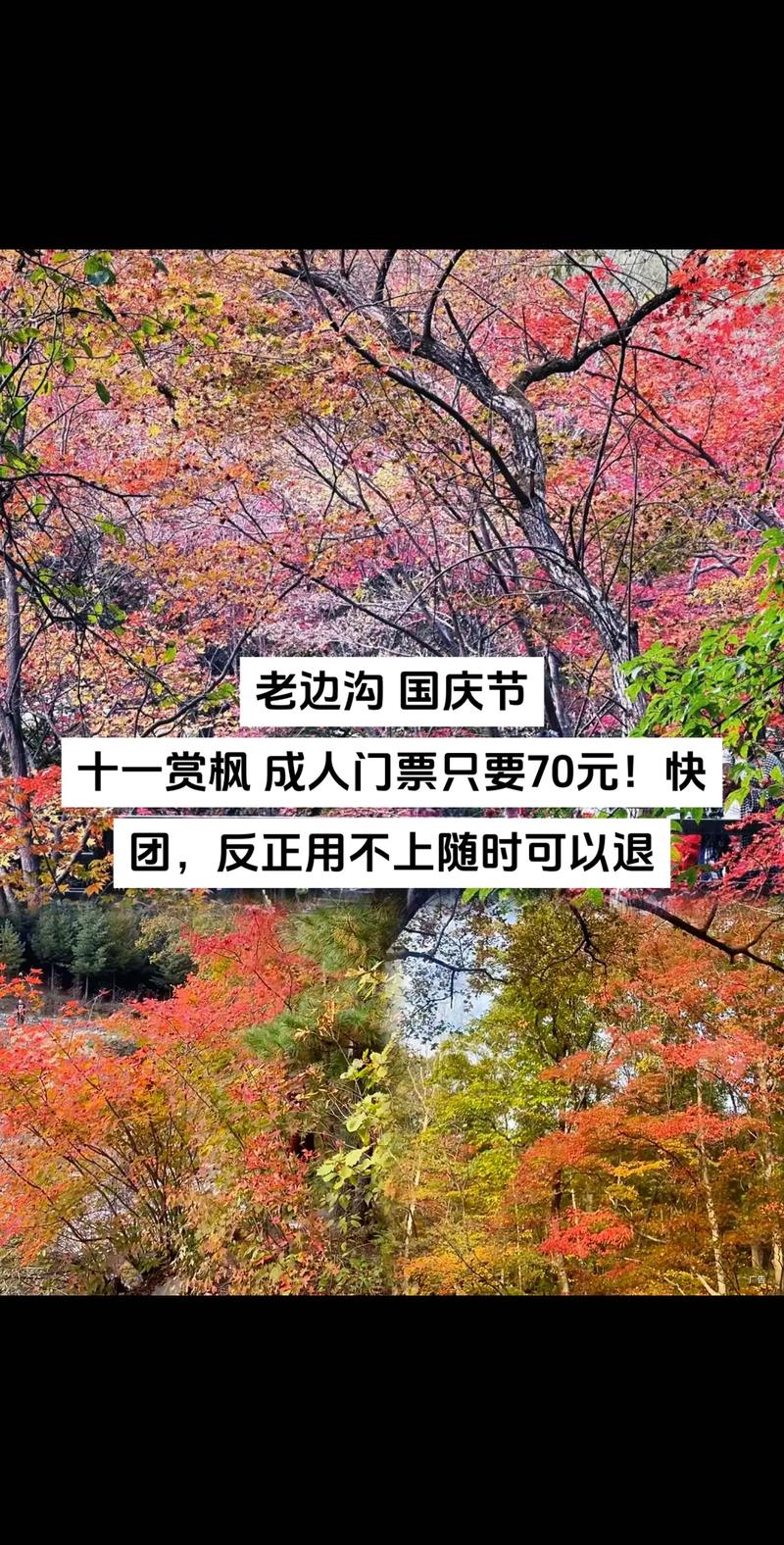 2025年4月24日 第2页