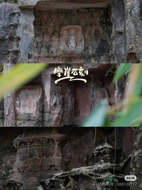 成都出发40min飙拢冷门徒步地，林海古道秘境吸氧！2块5就吃地道美食！