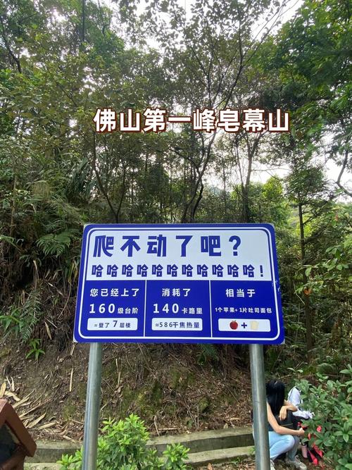 ?来佛山不登皂幕山，等于到北京不登长城！第一峰邀你上山“撒野”