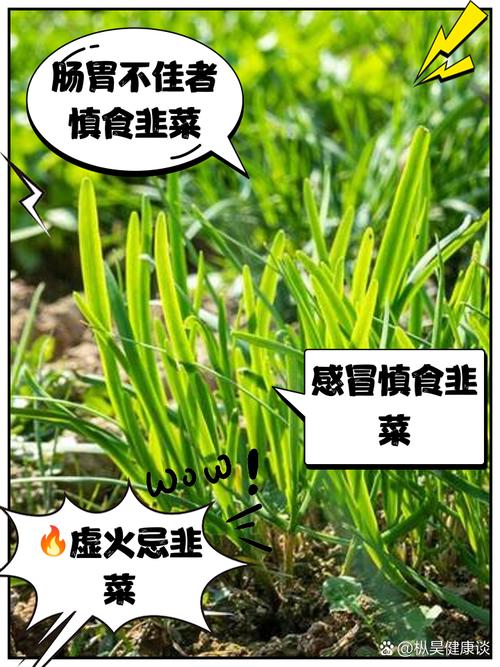 韭菜有“长生草”的美誉，春季吃正当时，但有4类人吃了反而养病