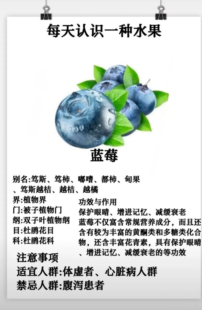 环球风物丨食鲜：蓝莓