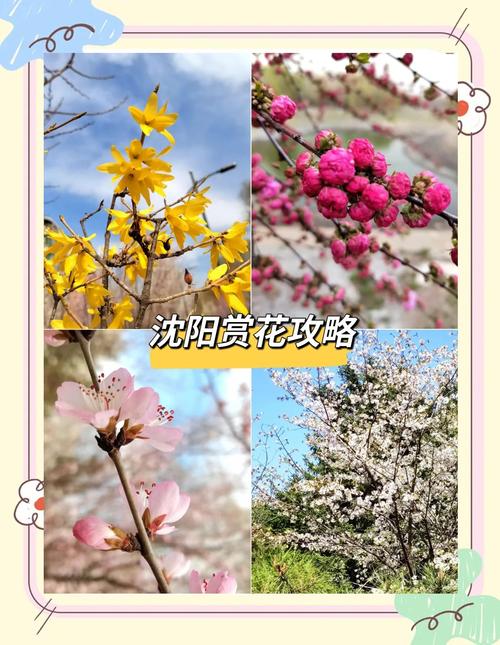 沈阳植物园第三届“花朝春日行”活动“五·一”黄金周盛大启幕