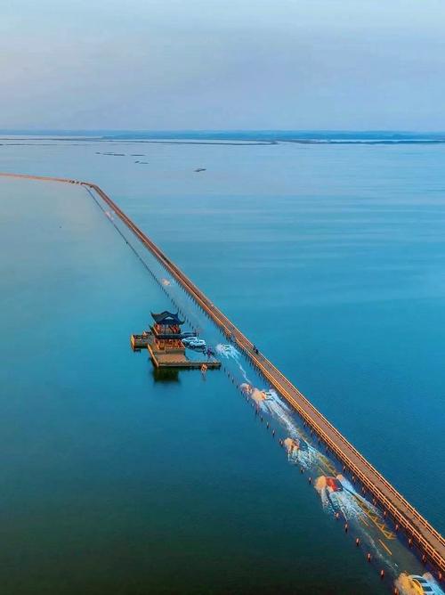 江西吴城玩法大曝光：水上公路穿越千年，白鹤群飞媲美东非大迁徙