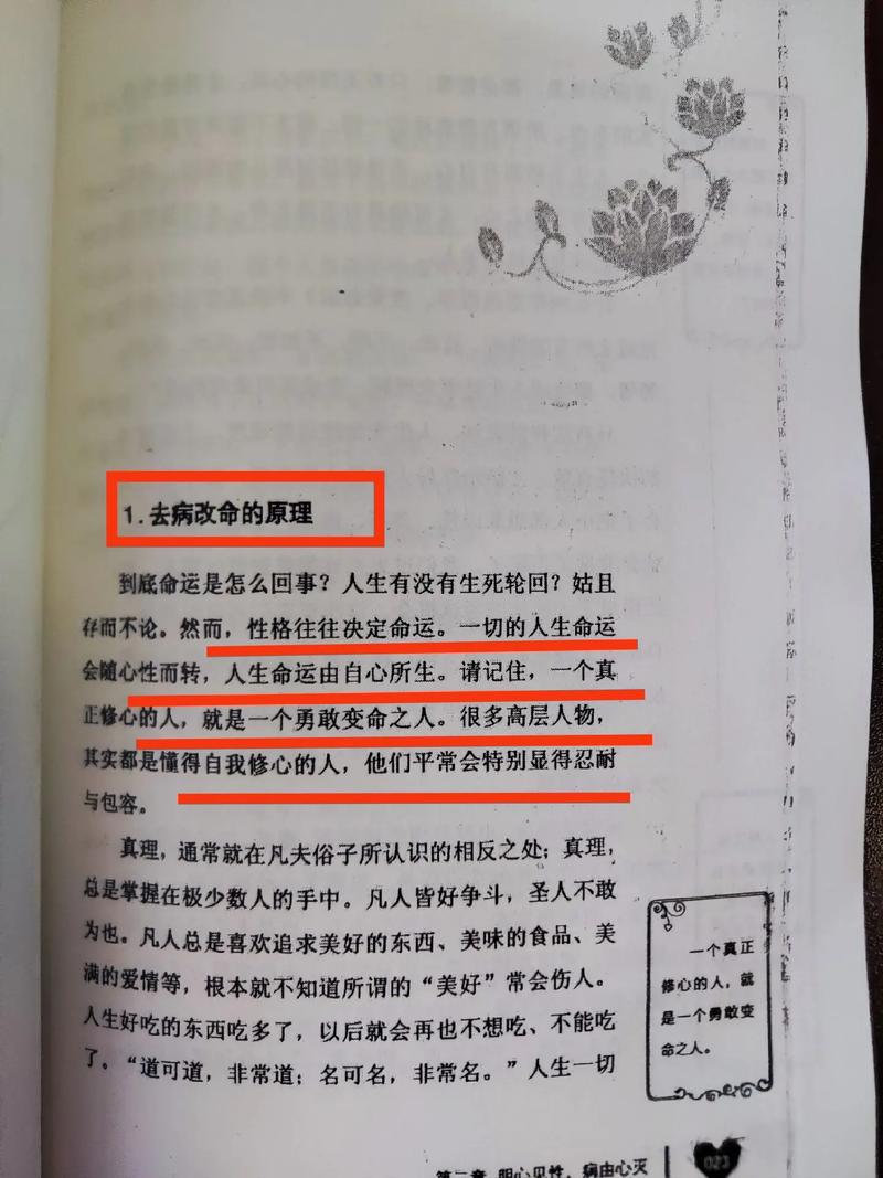 我曾抑郁辞职，佛智慧把我拉出谷底，现在塞尔维亚开茶馆