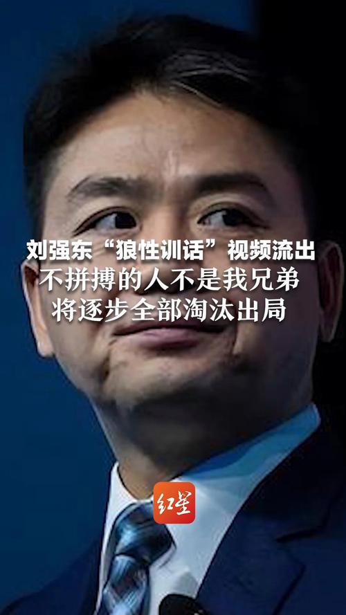 一个有意思的问题：如果你是刘强东的竞争对手，你会怎么办？