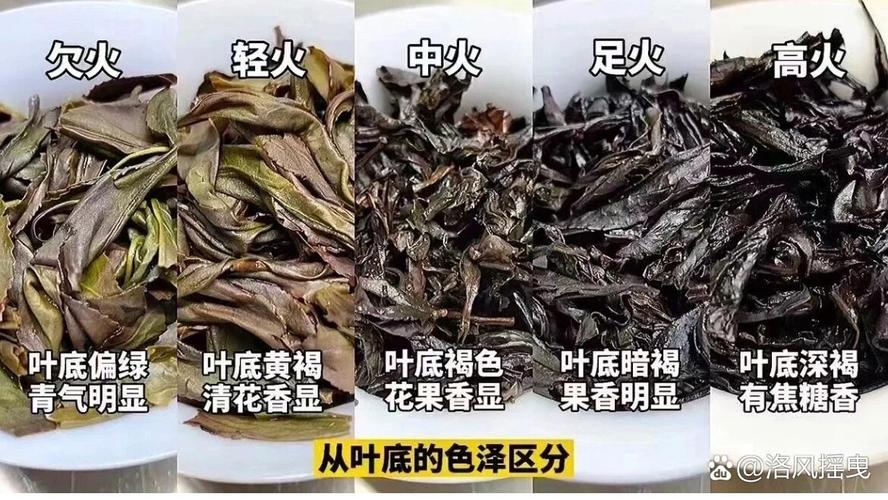 美食 第6页