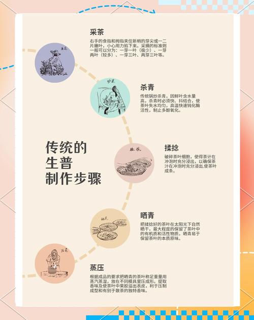 探秘生普洱传统工艺：一片茶叶的蜕变之旅