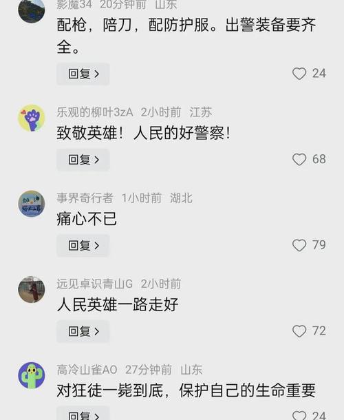 民警怕误伤嫌犯母亲未开枪-全面释义、专家解释与落实与警惕虚假宣传