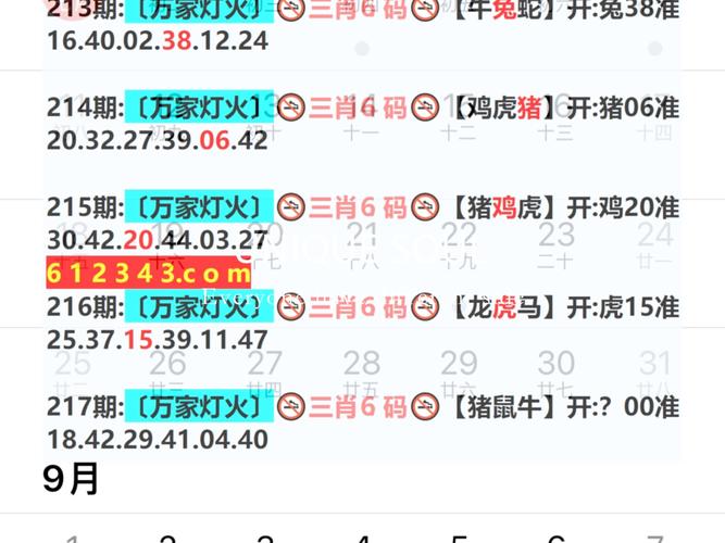 2024年澳门正版资料大全免费查询-全面释义、解释与落实与警惕虚假宣传