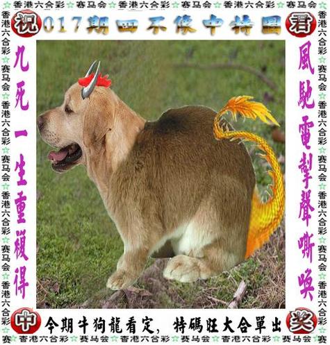 王中王免费资料大全料大全一精准,精选释义、解释与落实与警惕虚假宣传
