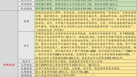新澳2025年正版资料大全,全面释义、解释与落实与警惕虚假宣传